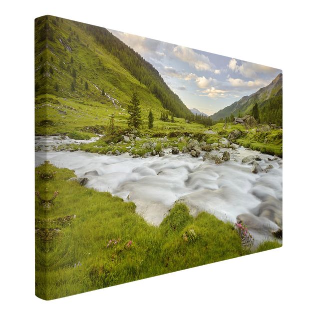 Billeder landskaber Alpine meadow Tirol