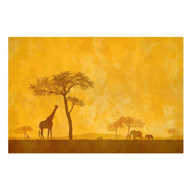 Billeder giraffer Amazing Kenya