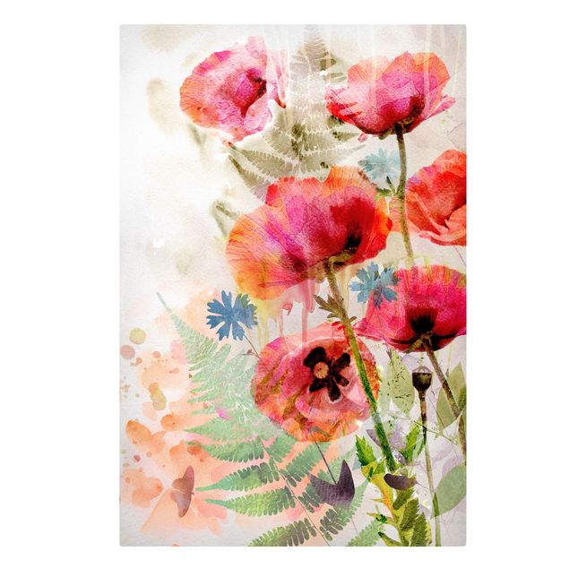 Billeder blomster Watercolour Flowers Poppy