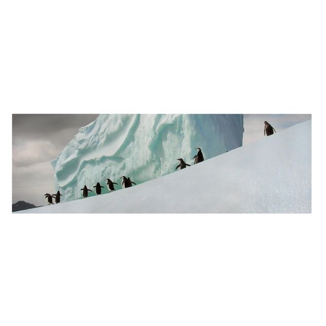 Billeder på lærred landskaber Arctic Penguins