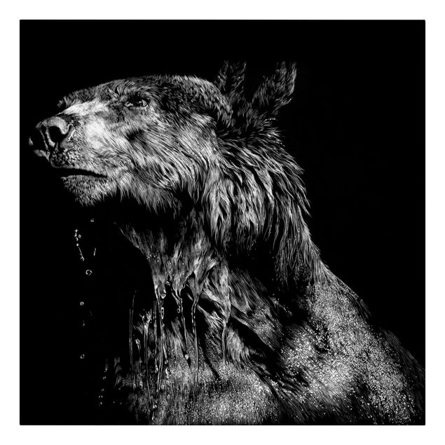 Billeder portræt Bear In The Dark
