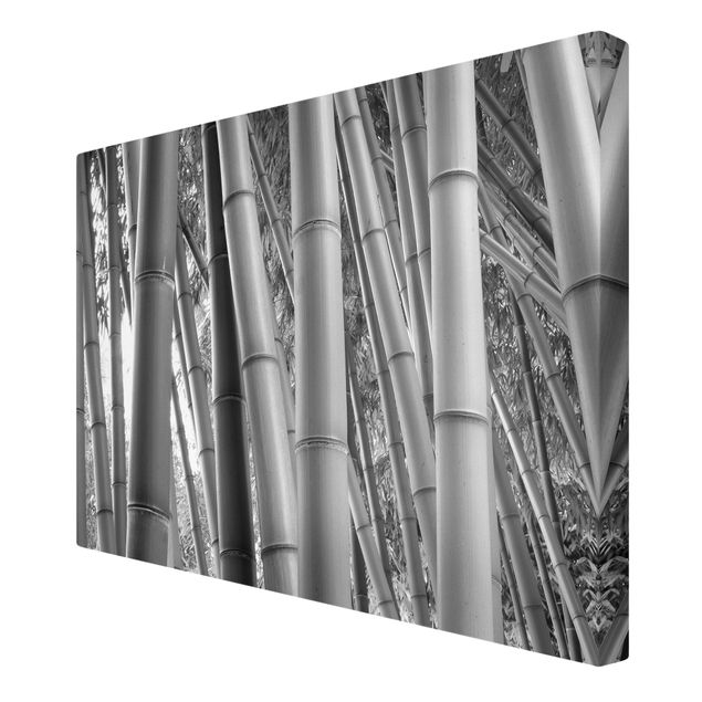 Billeder på lærred blomster Bamboo