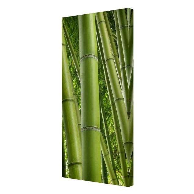 Billeder på lærred landskaber Bamboo Trees