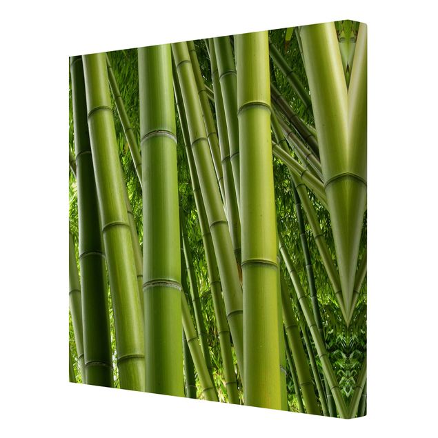 Billeder på lærred landskaber Bamboo Trees