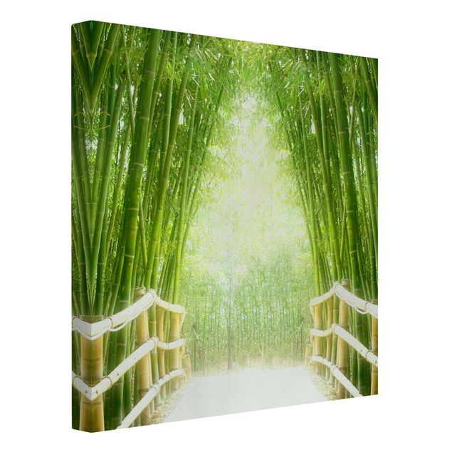 Billeder bambus Bamboo Way