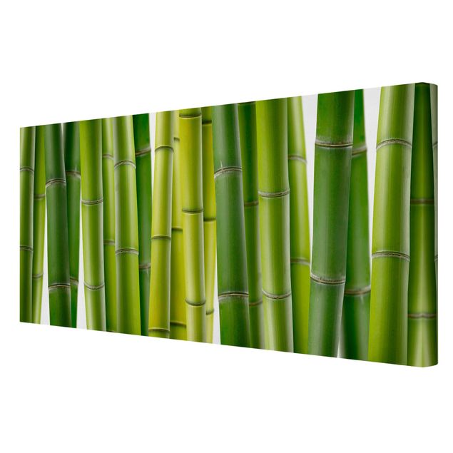 Billeder på lærred blomster Bamboo Plants
