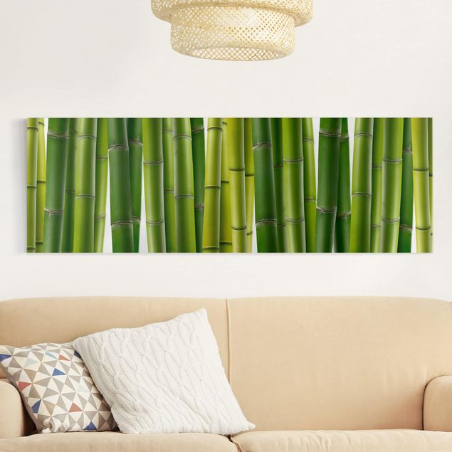 Billeder på lærred bambus Bamboo Plants