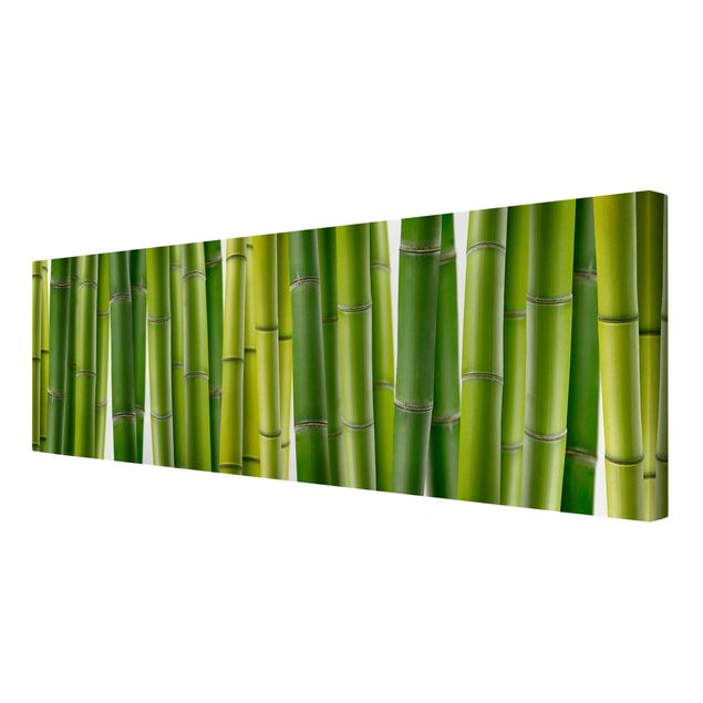 Billeder på lærred blomster Bamboo Plants