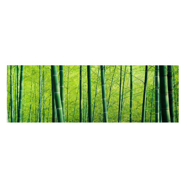 Billeder landskaber Bamboo Forest No.2