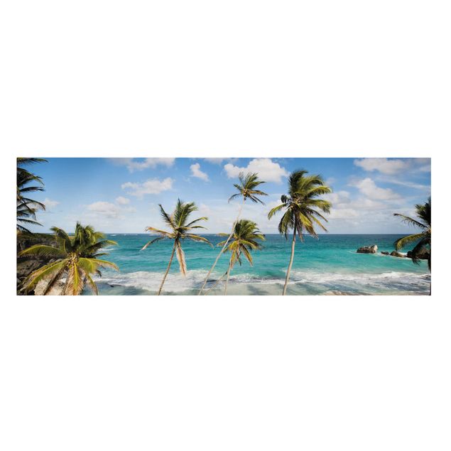 Billeder strande Beach Of Barbados