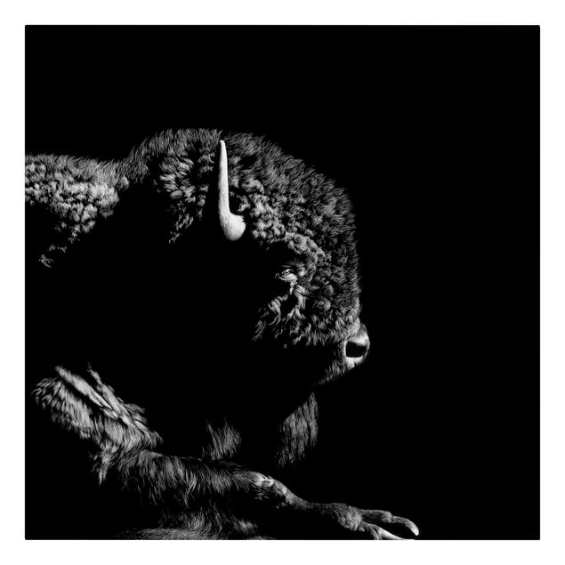 Billeder sort og hvid Bison In The Dark