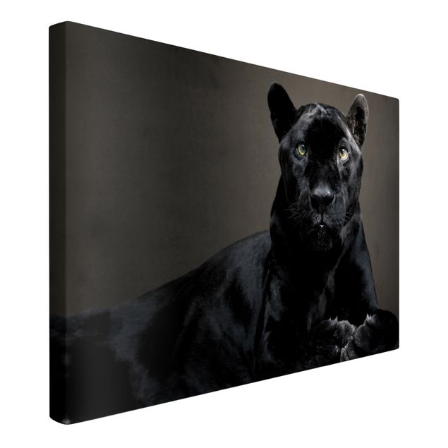 Billeder på lærred dyr Black Puma