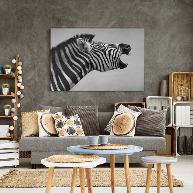 Billeder på lærred zebraer Roaring Zebra ll
