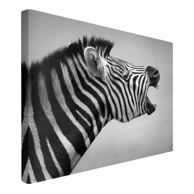 Billeder på lærred sort og hvid Roaring Zebra ll