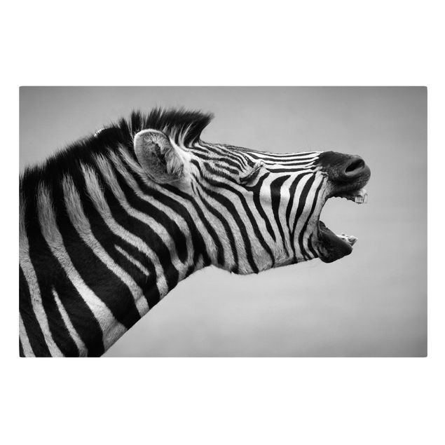 Billeder på lærred dyr Roaring Zebra ll
