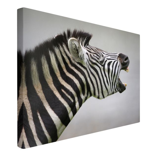 Billeder på lærred dyr Roaring Zebra