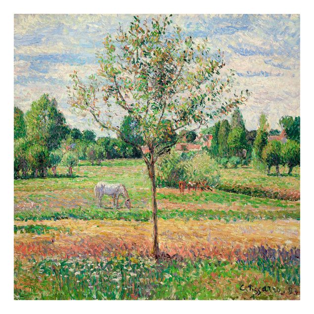 Kunst stilarter romantikken Camille Pissarro - Meadow with Grey Horse, Eragny