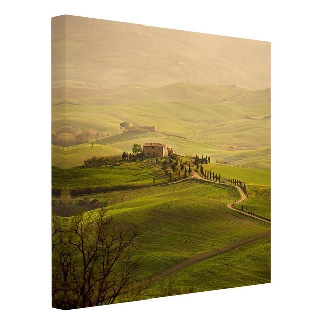 Billeder natur Chianti Tuscany