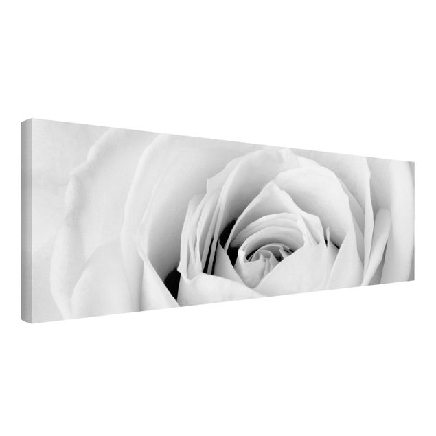 Billeder på lærred sort og hvid Close Up Rose