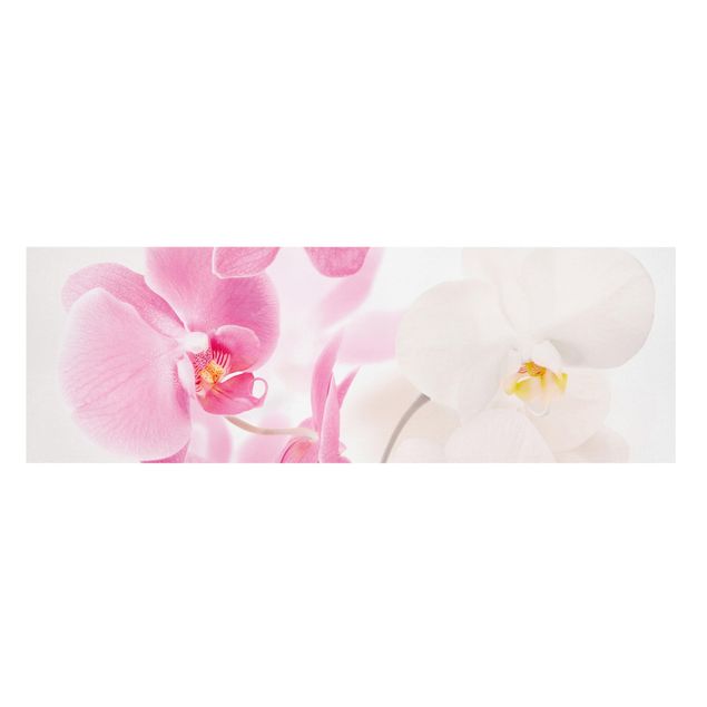 Billeder på lærred blomster Delicate Orchids