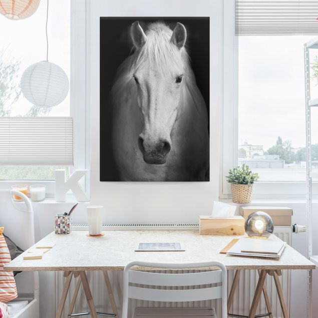 Billeder på lærred heste Dream Of A Horse