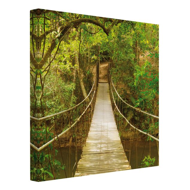 Billeder jungle Jungle Bridge