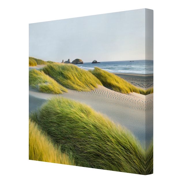 Billeder landskaber Dunes And Grasses At The Sea