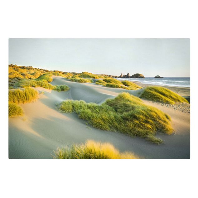 Billeder bjerge Dunes And Grasses At The Sea