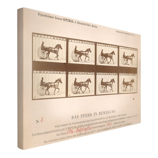 Kunst stilarter Eadweard Muybridge - The horse in Motion