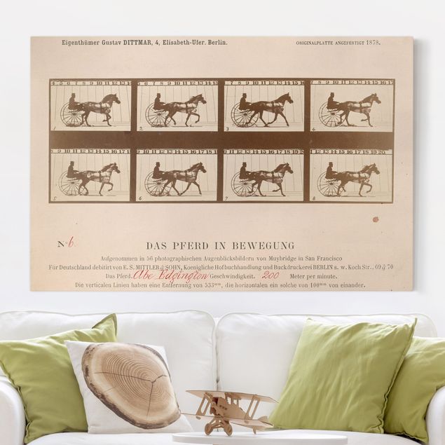 køkken dekorationer Eadweard Muybridge - The horse in Motion