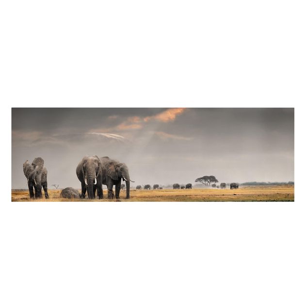 Billeder landskaber Elephants in the Savannah