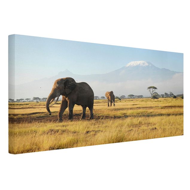 Billeder på lærred Afrika Elephants In Front Of The Kilimanjaro In Kenya