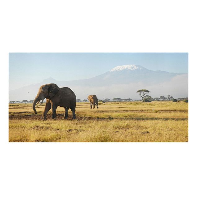 Billeder på lærred bjerge Elephants In Front Of The Kilimanjaro In Kenya