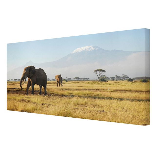 Billeder på lærred landskaber Elephants In Front Of The Kilimanjaro In Kenya