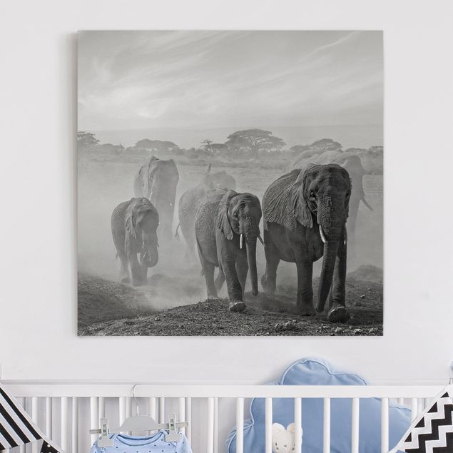 Billeder på lærred elefanter Herd Of Elephants