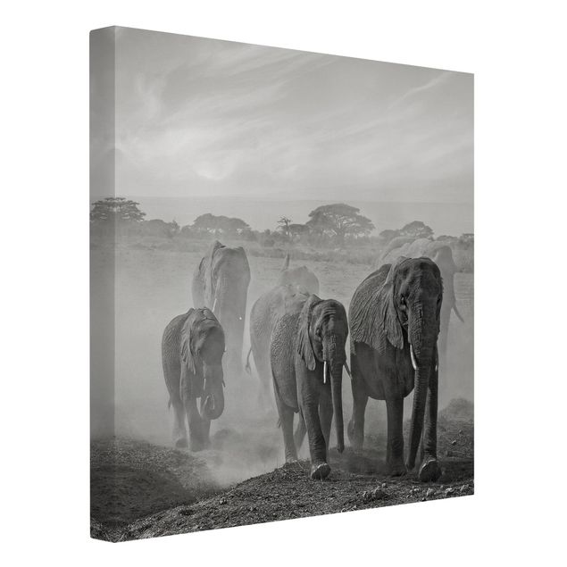 Billeder landskaber Herd Of Elephants