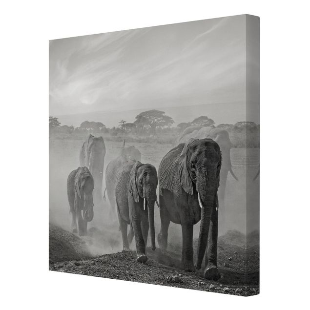 Billeder på lærred landskaber Herd Of Elephants