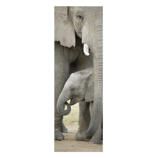 Billeder Afrika Elephant Love