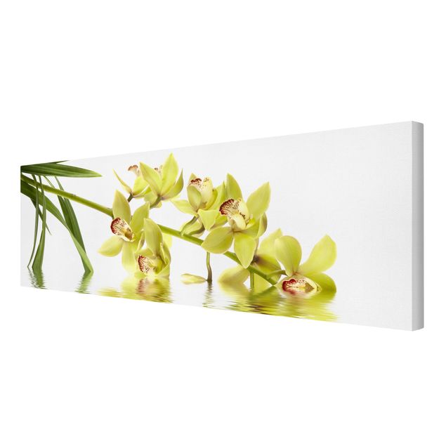 Billeder blomster Elegant Orchid Waters