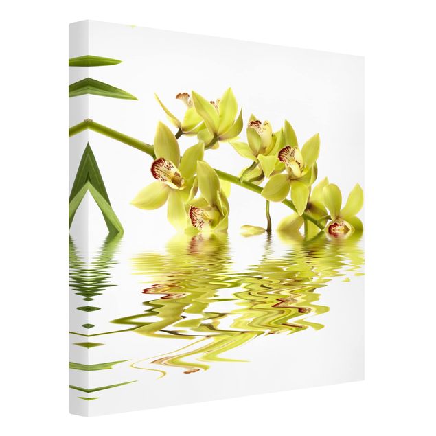 Billeder på lærred sommerfugle Elegant Orchid Waters