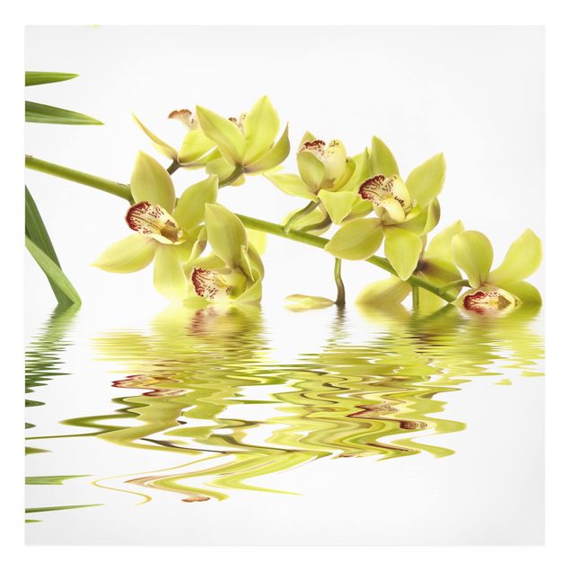 Billeder på lærred blomster Elegant Orchid Waters