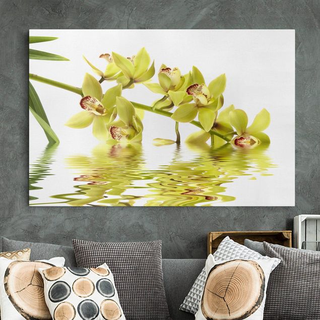 Billeder orkideer Elegant Orchid Waters
