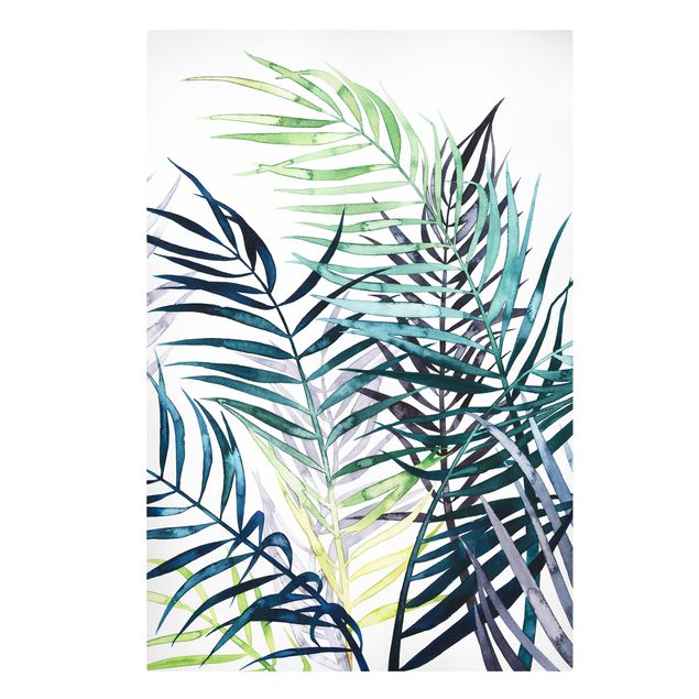 Billeder grøn Exotic Foliage - Palme