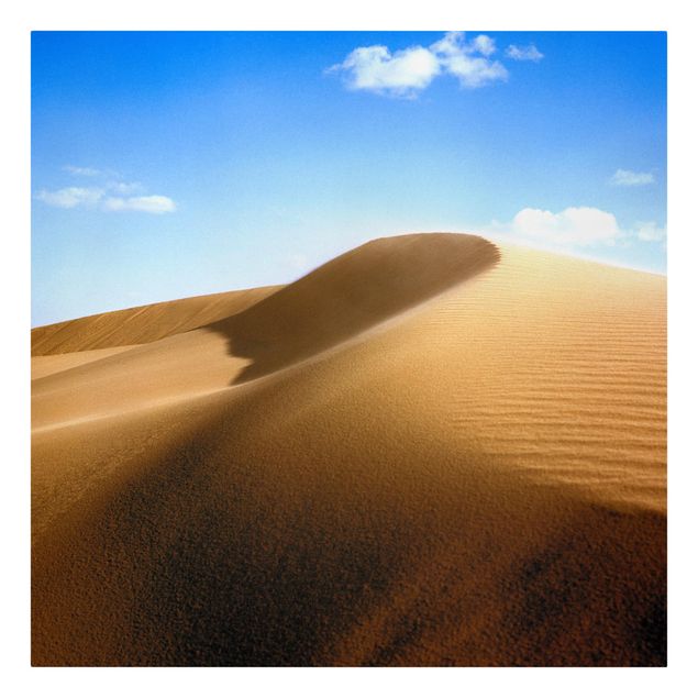 Billeder natur Fantastic Dune