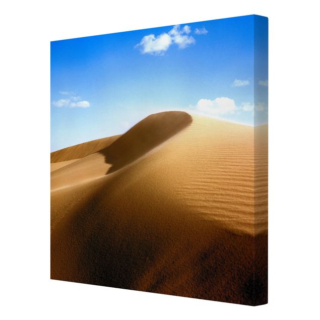 Billeder moderne Fantastic Dune