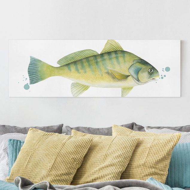 Billeder på lærred fisk Color Catch - Perch