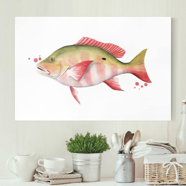 Billeder på lærred fisk Color Catch - Northern Red Snapper