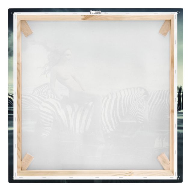Billeder Woman Posing With Zebras