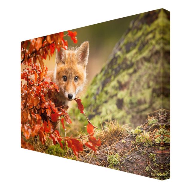 Billeder på lærred dyr Fox In Autumn