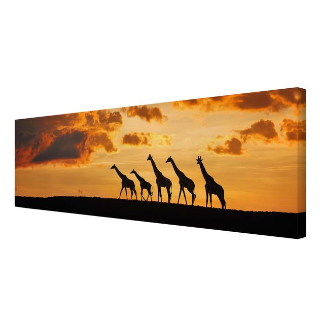 Billeder landskaber Five Giraffes